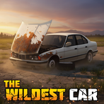 The Wildest Car
