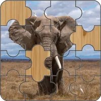 Elephant Jigsaw Puzzle