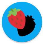 Shadows Matching Game