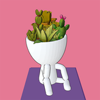 Pot Head Hair Designer