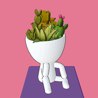 Pot Head Hair Designer