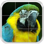Birds Puzzle Game