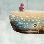 Имаджилятор