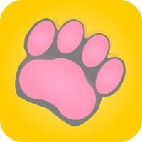 CATSHIDEF-game about cats 2023