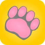 CATSHIDEF-game about cats 2023