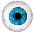 Spexzodium - Mind challenging 