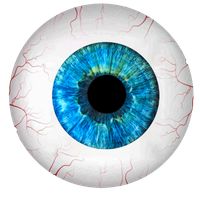 Spexzodium - Mind challenging 