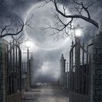 Grave Yard