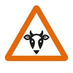 OIE Rinderpest Serious Game