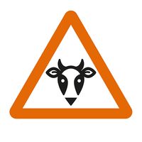 OIE Rinderpest Serious Game