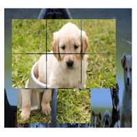 Puppies Puzzle Dogs Adults Chi