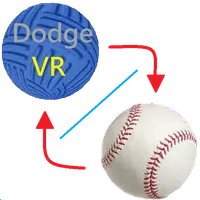 Combo:dodge ball & baseball