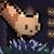 9LIVES