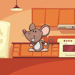 Catching Rat