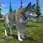 Wolf Simulator - Animal Games