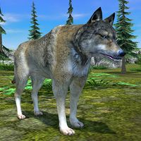 Wolf Simulator - Animal Games