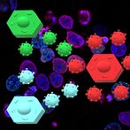 Conquer the Cells Virus Plague