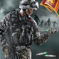 Zombie Dark Adventure