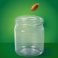 Apricot Stone: Multiplayer