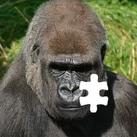 Rompecabezas de Gorilas