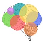 Brain 19 - Train your brain