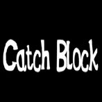 캣치 블록(Catch Block)