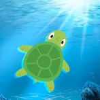 Kachua Bhai