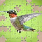 Animated Jigsaw puzzles game