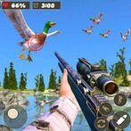 Wild Duck hunter Birds Shooter