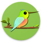 Hummin' Bird