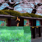 Mattolina Mother Run