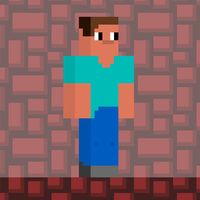 Steve Red Dark