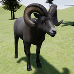 Happy Bighorn Sheep Simulator