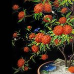 감성을 키우는 나무