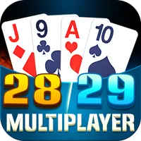 28 29 Multiplayer