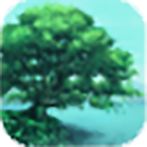 The Tree