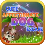 Cute Affectionate Dog Escape -
