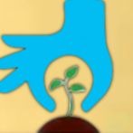 LookingFootballPlayers