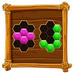 Moniz Hexaz Go Puzzle