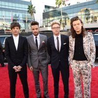 One Direction Puzzle