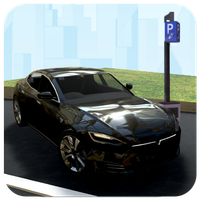 Real Carx Streat Parking