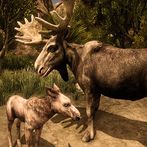 Ultimate Moose Simulator