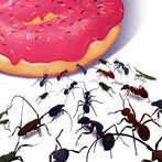 Too Many Bugs !
