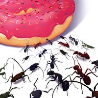 Too Many Bugs !