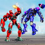 Robot Fighting kung Fu Games