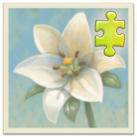 Inner Garden: Vegetable Garden