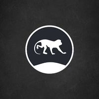 SmartMonkey