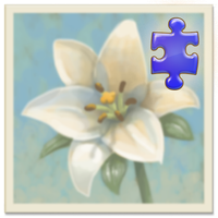 Inner Garden: Winter Garden