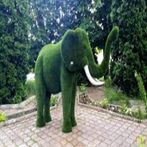 Зеленый Слоник DJ Pads