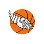 Angry Basket Ball abc